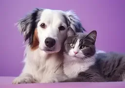 Happy pets at home