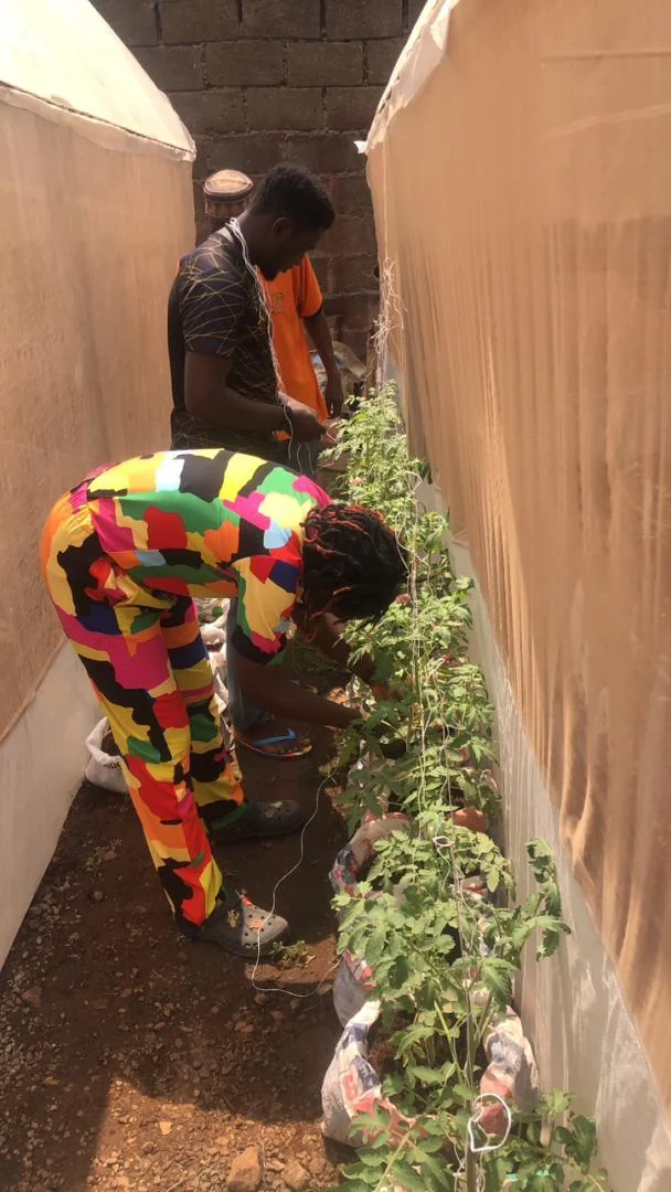 Image 5 Gallery image 5