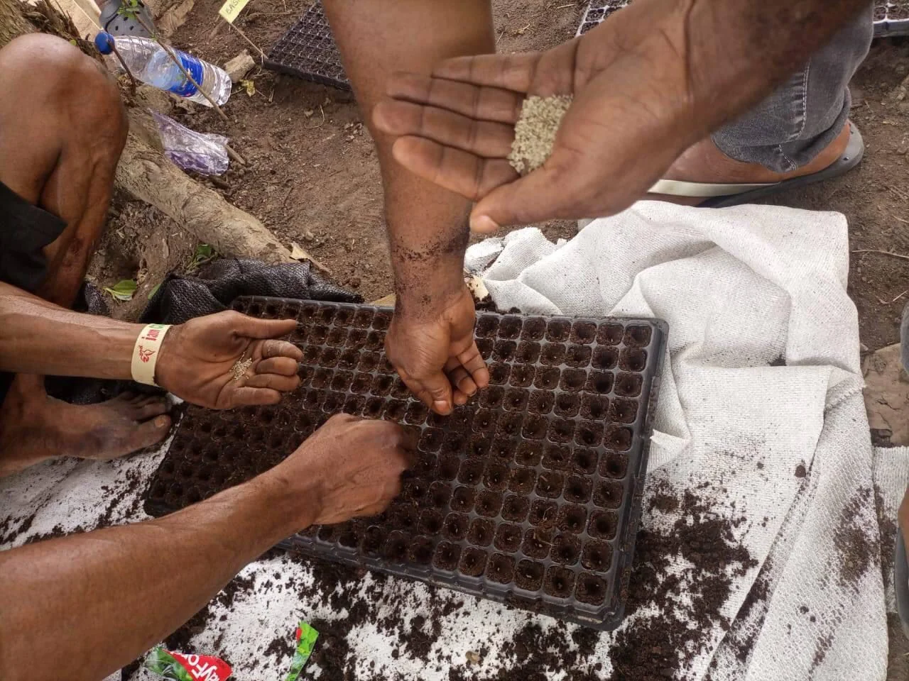 Project 2 Gallery image 2