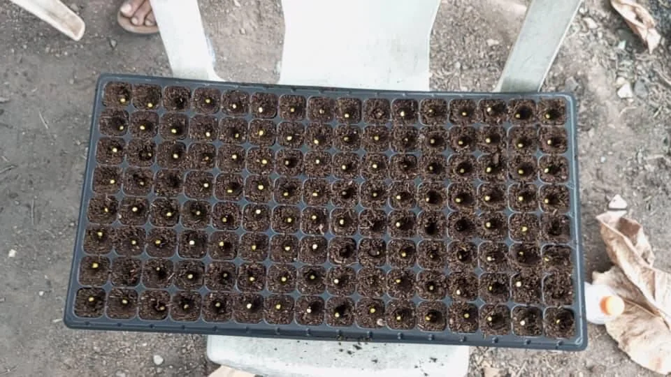 Project 3 Gallery image 3