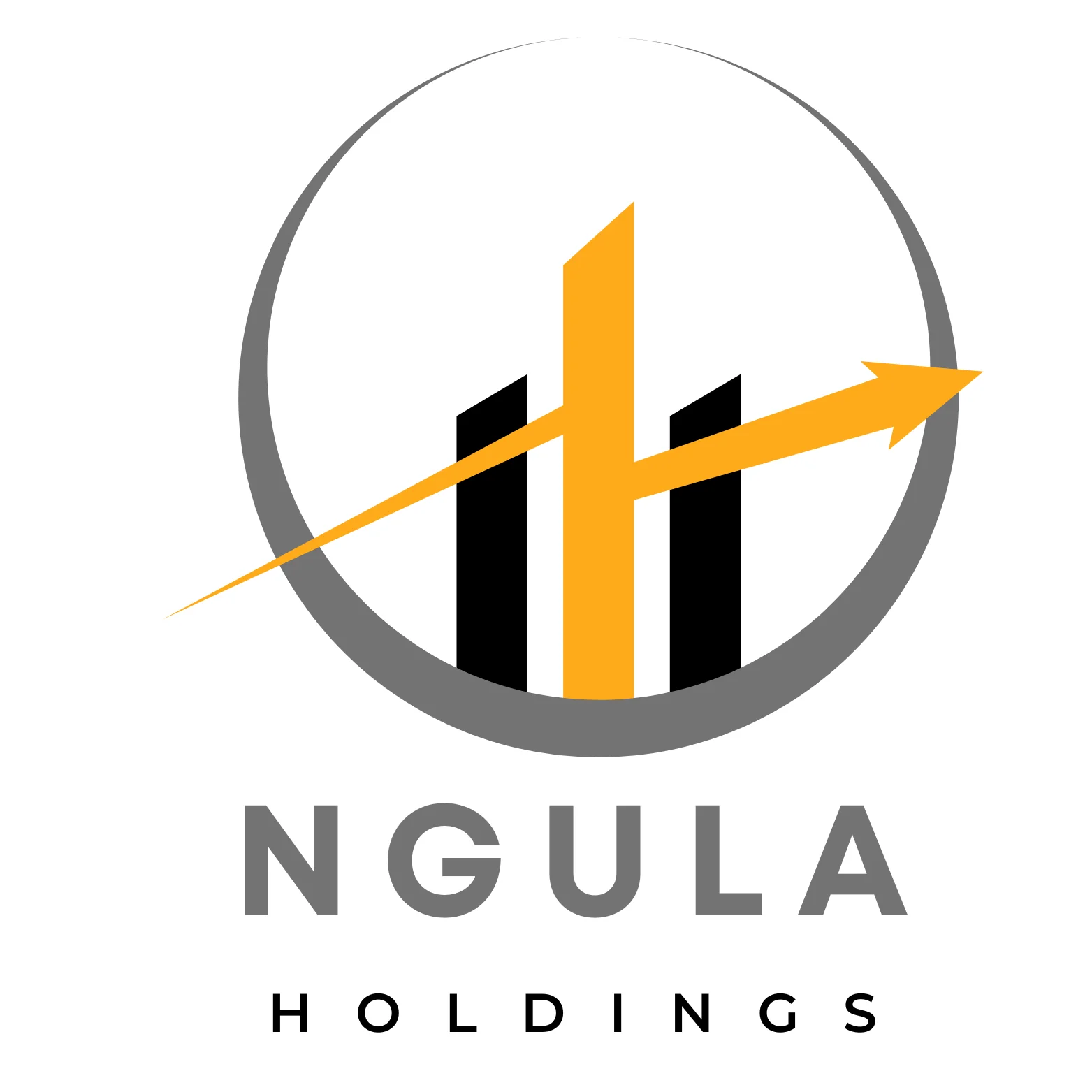 Ngula Holdings logo
